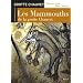 Les Mammouths de la grotte Chauvet