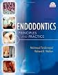 Endodontics: Principles and Practice