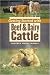 Getting Started with Beef and Dairy Cattle