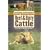 Getting Started with Beef and Dairy Cattle