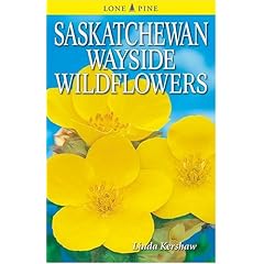 Saskatchewan Wayside Wildflowers