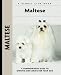   - Maltese (Kennel Club Dog Breed Series)