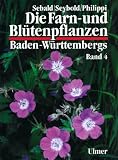 Spezieller Teil (Spermatophyta, Unterklasse Rosidae)