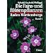 Die Farn- und Bl�tenpflanzen Baden-W�rttembergs, 8 Bde., Bd.4, Spezieller Teil (Spermatophyta, Unterklasse Rosidae)