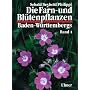 Die Farn- und Bl�tenpflanzen Baden-W�rttembergs, 8 Bde., Bd.4, Spezieller Teil (Spermatophyta, Unterklasse Rosidae)