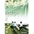 Bridge~���̋��̌�������~ [DVD]