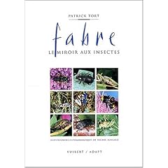 Fabre : Le miroir aux insectes