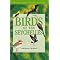 Birds (Indian Ocean & Islands)