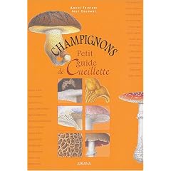 Champignons : Petit guide de cueillette