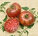 Cherokee Purple Heirloom Tomato Seeds - Lycopersicon Esculentum - 0.25 Grams - Approx 100 Gardening Seeds - Vegetable Garden Seed