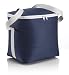 Large Cool Bag