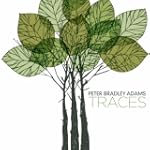 Darkening Sky - Peter Bradley Adams