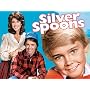 Silver Spoons Season 1