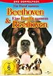 Ein Hund namens Beethoven & Eine Familie namens Beethoven [2 DVDs]