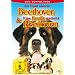 Ein Hund namens Beethoven & Eine Familie namens Beethoven [2 DVDs]