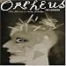 Orpheus the Lowdown