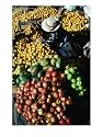 Fruit Vendor at Market Stall, Puno, Peru Food & Beverage Photographic Poster Print by Richard I'Anson, 24x32