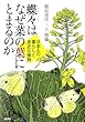 蝶々はなぜ菜の葉にとまるのか―日本人の暮らしと身近な植物