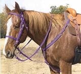 Complete Bridle and Breast Collar Set by Mustang