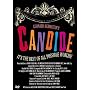 Leonard Bernstein's Candide (Great Performances)