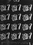 B.S. FILLED STOCKING Christmas Candy Mold Chocolate