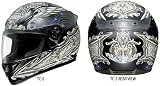 Shoei Diabolic Zero RF-1000 Sports Bike Motorcycle Helmet - 2008 Model