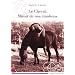 Le cheval, miroir de nos �motions