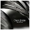 Image of album by Clem Snide
