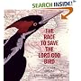 The Race to Save the Lord God Bird (The Boston Globe-Horn Book Award  (Awards))