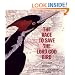 The Race to Save the Lord God Bird (The Boston Globe-Horn Book Award  (Awards))