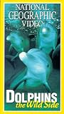 National Geographic s Dolphins: The Wild Side