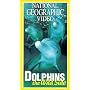National Geographic's Dolphins: The Wild Side