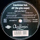 Can You Feel It [12" VINYL]