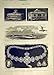 1888 Queen Glasgow Renfrew Hms Curlew Tully Women Jewel