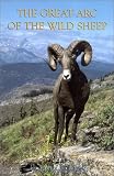 The Great Arc of the Wild Sheep