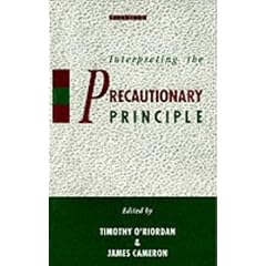 Interpreting the Precautionary Principle