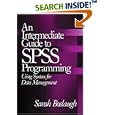 An Intermediate Guide to SPSS Programming: Using Syntax for Data... by  Sarah Boslaugh