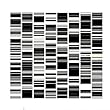 Test Pattern