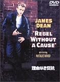 理由なき反抗 特別版 [DVD]