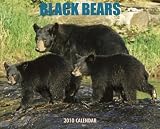 Black Bears 2010 Calendar