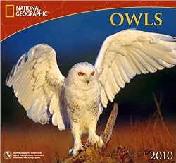 Owls National Geographic 2010 Wall Calendar
