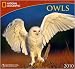 Owls National Geographic 2010 Wall Calendar