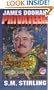 The Privateer (The Flight Engineer, Book 2)
