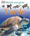 Turtle (Watch Me Grow)