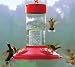 Dr. JB's Clean Hummingbird Feeder