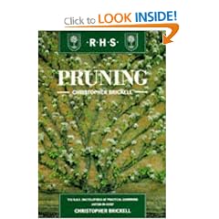 Pruning