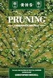 Pruning