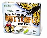 Learning Resources Inflatable Butterfly Life Cycle