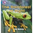 The Rainforest at Night (Collins Big Cat Phonics) by Nic Bishop