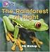 Search : The Rainforest at Night (Collins Big Cat Phonics)